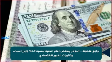 تراجع ملحوظ.. الدولار ينخفض أمام الجنيه بنسبة 4.9% وأبرز أسباب وتأثيرات الخبير الاقتصادي
